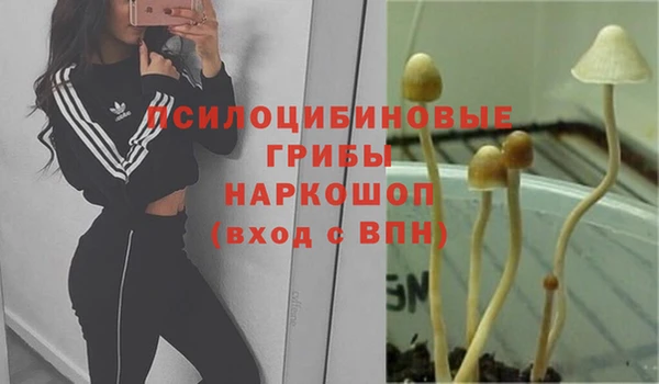 кокаин перу Нязепетровск