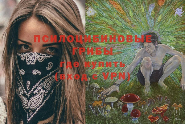 прущие грибы Пролетарск