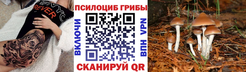Галлюциногенные грибы ЛСД blacksprut онион Красновишерск